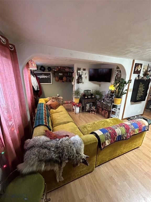 living room with hardwood / wood-style flooring