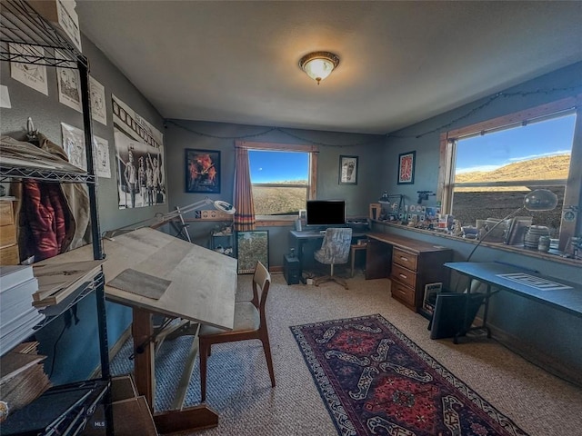 office area featuring light colored carpet