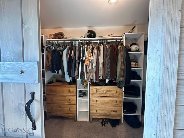 spacious closet featuring carpet