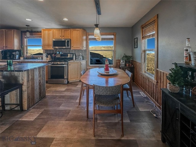 kitchen with appliances with stainless steel finishes, backsplash, decorative light fixtures, and a wealth of natural light