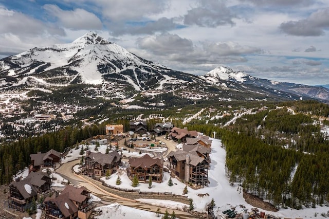14 Upper Cascade Ridge Rd Unit 206, Big Sky, MT 59716 - photo 62