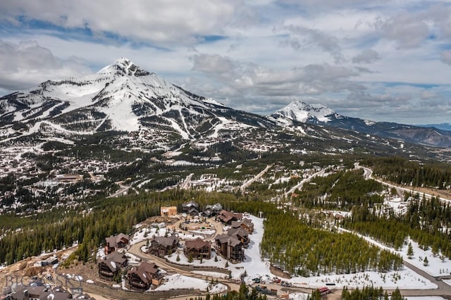 14 Upper Cascade Ridge Rd Unit 206, Big Sky, MT 59716 - photo 63