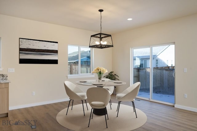 dining area with wood finished floors, a wealth of natural light, and baseboards