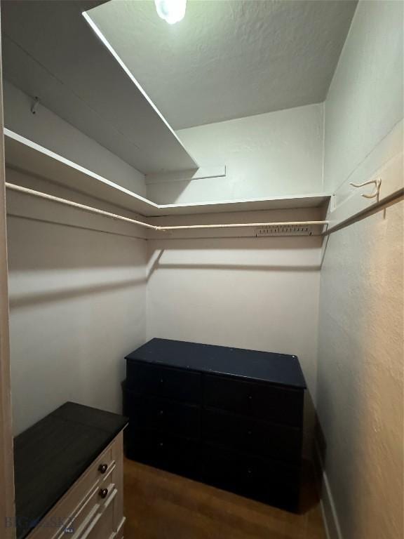 spacious closet featuring dark wood-type flooring