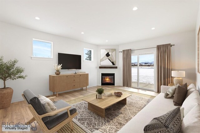 living room featuring light wood-type flooring