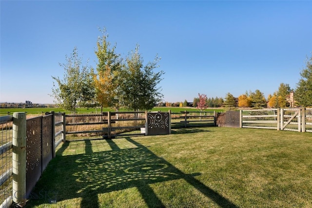 view of yard featuring a rural view