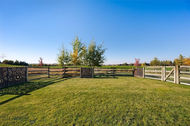 view of yard with a rural view