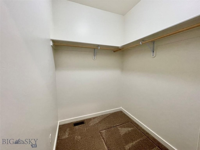 walk in closet featuring carpet