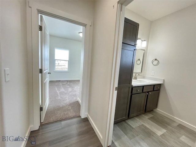 bathroom with wood-type flooring and vanity