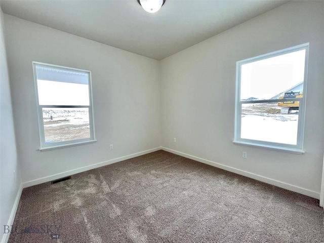 empty room featuring carpet floors and a wealth of natural light