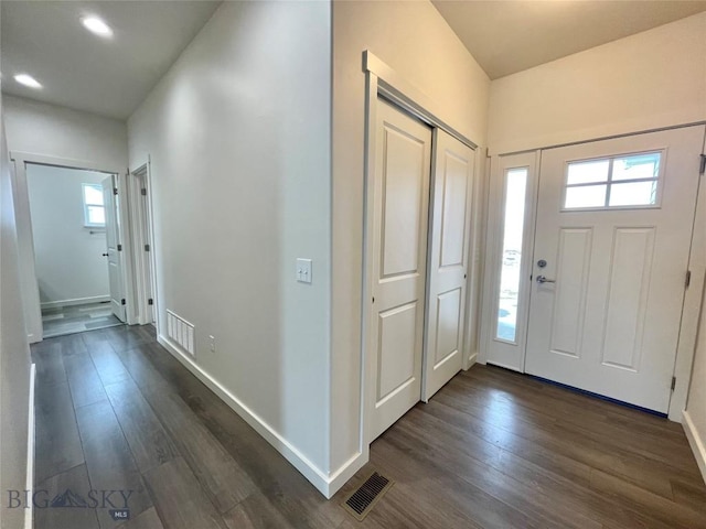 foyer with dark wood-type flooring