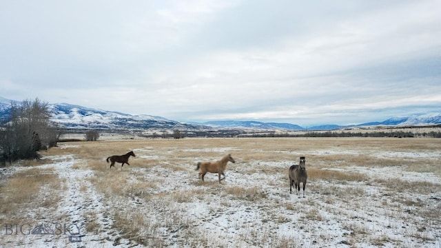 NHN Mule Deer Rd, Pray MT, 59065 land for sale