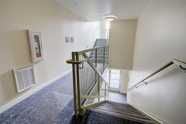 stairway featuring carpet floors