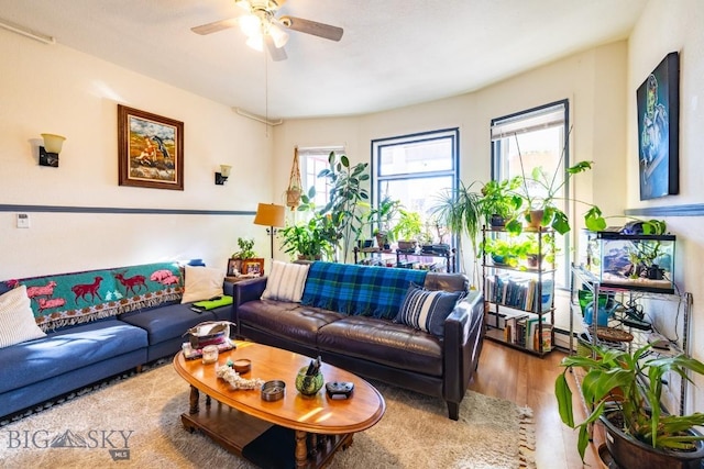 living room with hardwood / wood-style flooring and ceiling fan