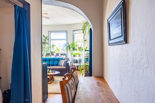 hallway featuring hardwood / wood-style floors