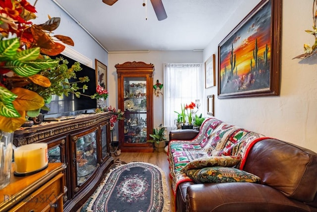 living area featuring ceiling fan and hardwood / wood-style floors