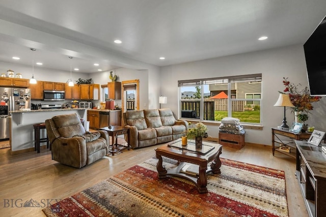 living room featuring light wood-type flooring