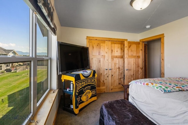 bedroom with dark carpet