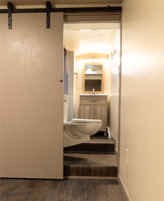 bathroom featuring wood-type flooring, toilet, and sink