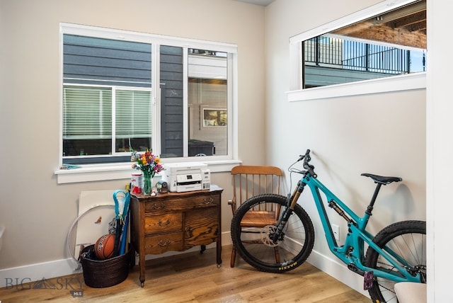 sitting room featuring hardwood / wood-style flooring and a healthy amount of sunlight