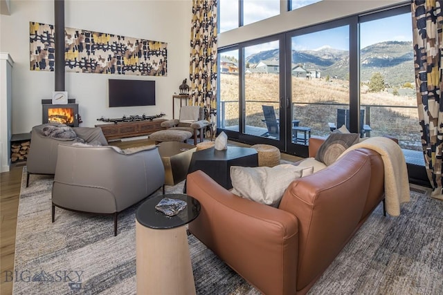 living room with wood-type flooring, a wealth of natural light, and a wood stove