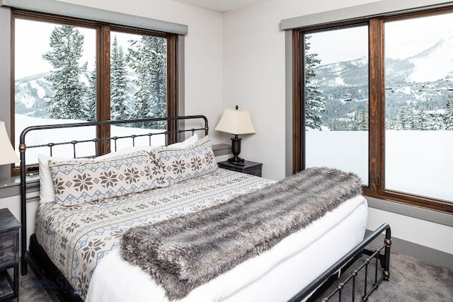 13 Middle Rider, Big Sky, MT 59716 - view of bedroom