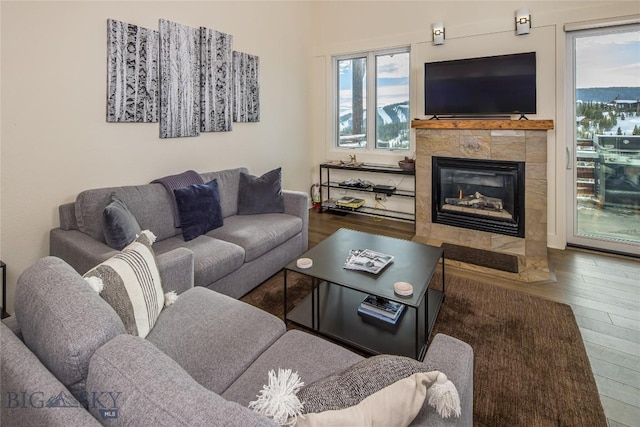 living room with hardwood / wood-style floors and a tile fireplace