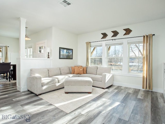 living room featuring plenty of natural light and wood-type flooring