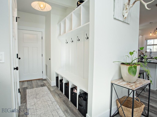 mudroom with sink and hardwood / wood-style floors