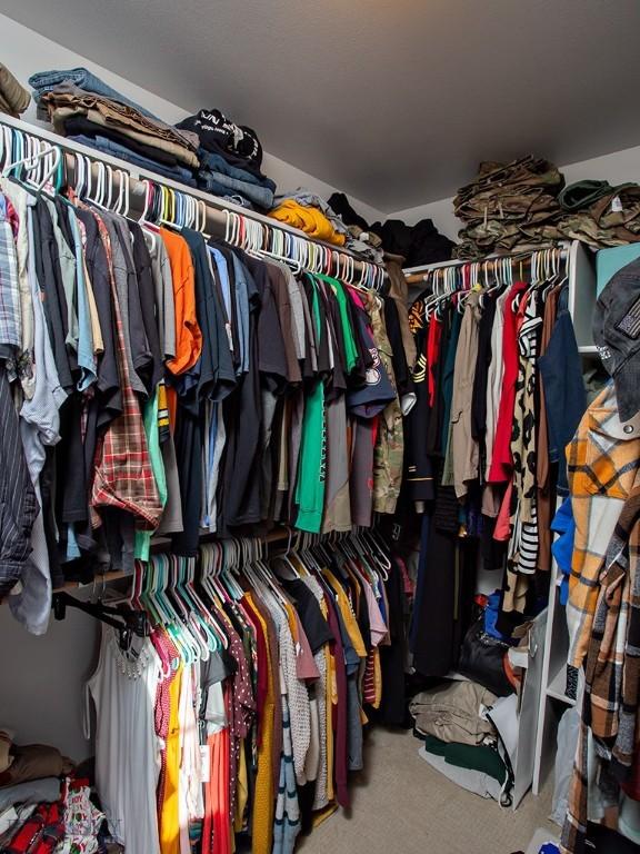 walk in closet featuring carpet