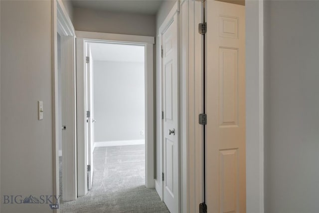 hallway featuring carpet flooring