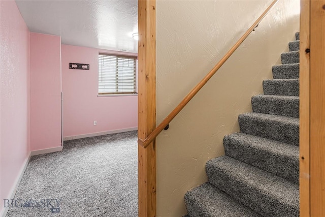 stairway with carpet floors