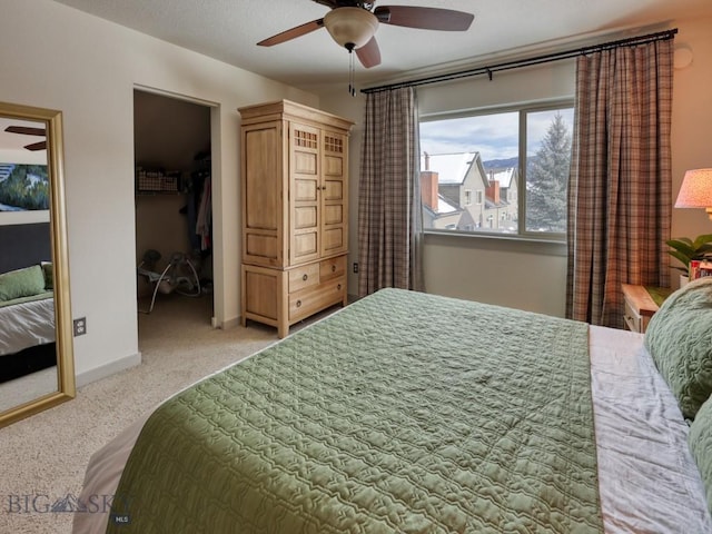 carpeted bedroom featuring ceiling fan and a walk in closet