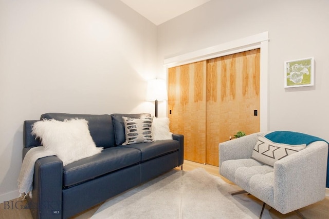 living room with wood-type flooring