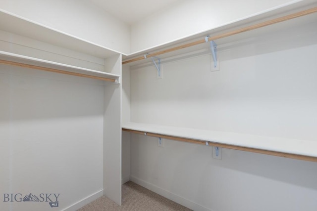 2221F Willow Unit 104, Livingston, MT 59047 - walk in closet with light colored carpet