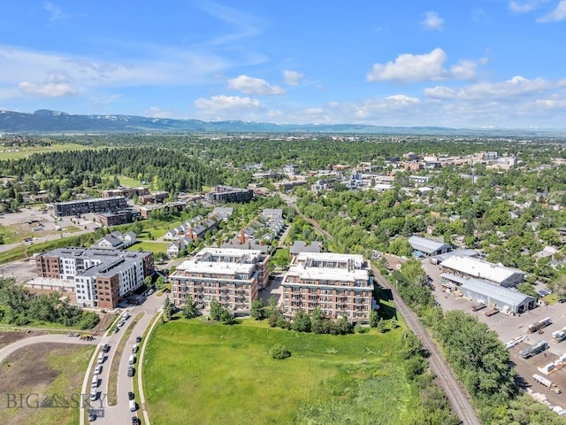 birds eye view of property featuring a mountain view