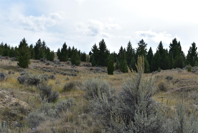 tbd Indian Paint Brush Road, Butte MT, 59701 land for sale