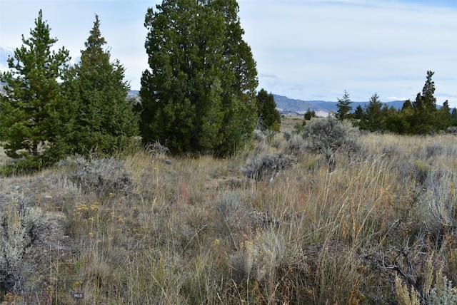 Listing photo 3 for tbd Indian Paint Brush Road, Butte MT 59701