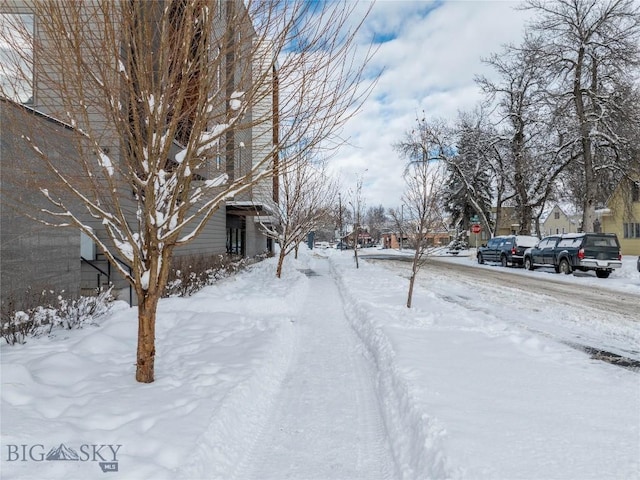 view of yard covered in snow