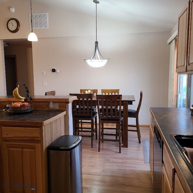 kitchen featuring pendant lighting, vaulted ceiling, stainless steel dishwasher, and light hardwood / wood-style flooring