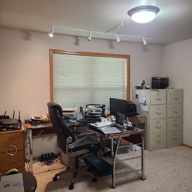 office space featuring carpet flooring and rail lighting