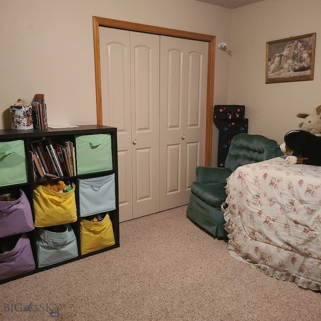 bedroom with carpet flooring and a closet