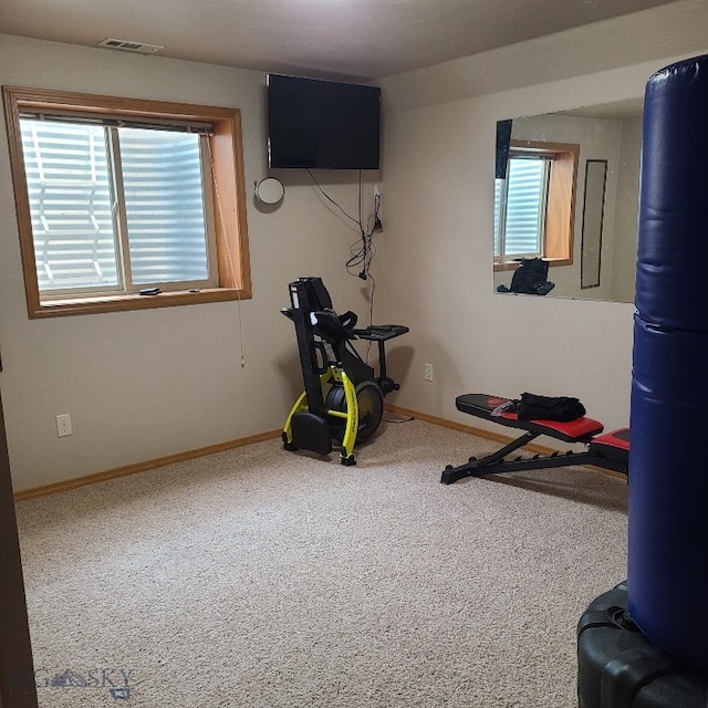 workout area featuring plenty of natural light and carpet floors