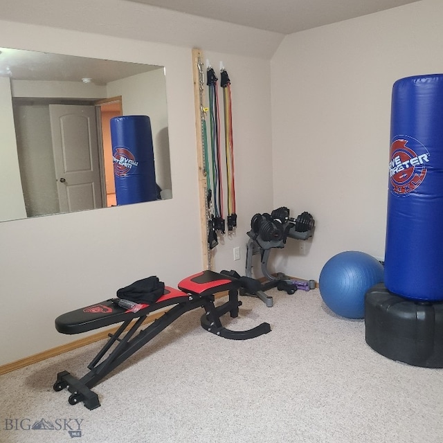 exercise area with carpet flooring