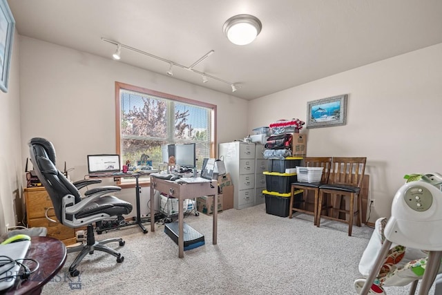 1311 Cruiser Ln, Belgrade, MT 59714 - carpeted home office with track lighting