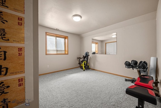 1311 Cruiser Ln, Belgrade, MT 59714 - workout area with baseboards and carpet floors