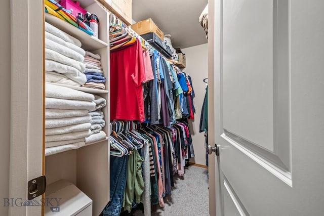 1311 Cruiser Ln, Belgrade, MT 59714 - walk in closet featuring carpet