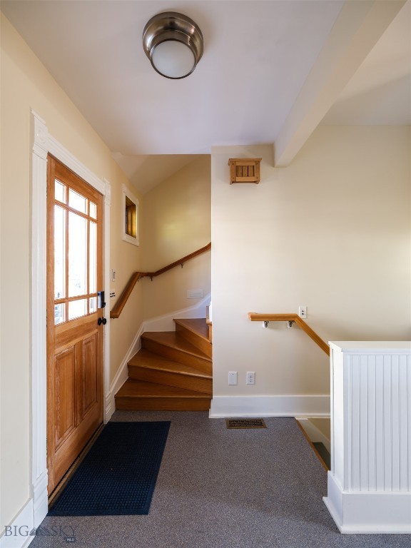 stairway with carpet flooring