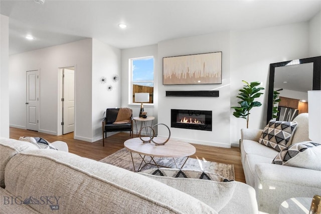 living room featuring hardwood / wood-style flooring