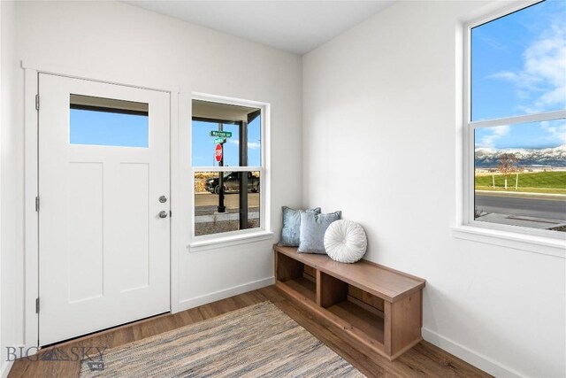 mudroom featuring dark wood-type flooring